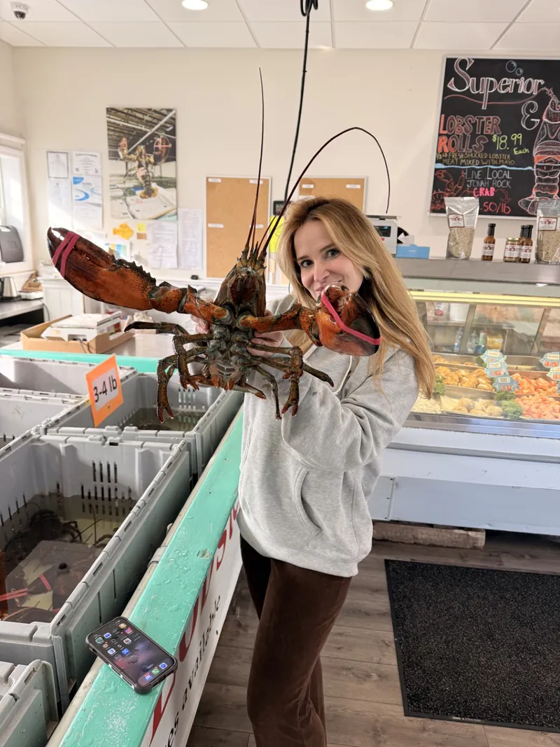 Visitor holding a large live lobster at Superior Lobster & Seafood Market in Marshfield, Massachusetts